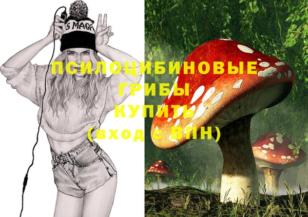 ПСИЛОЦИБИНОВЫЕ ГРИБЫ Беломорск