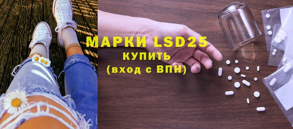 ГАЛЛЮЦИНОГЕННЫЕ ГРИБЫ Белокуриха