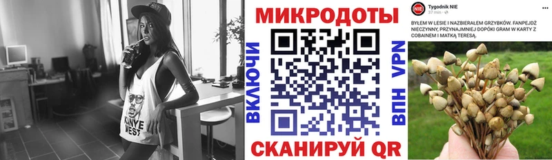 наркота ссылка на мегу сайт Галлюциногенные грибы прущие грибы Староминская